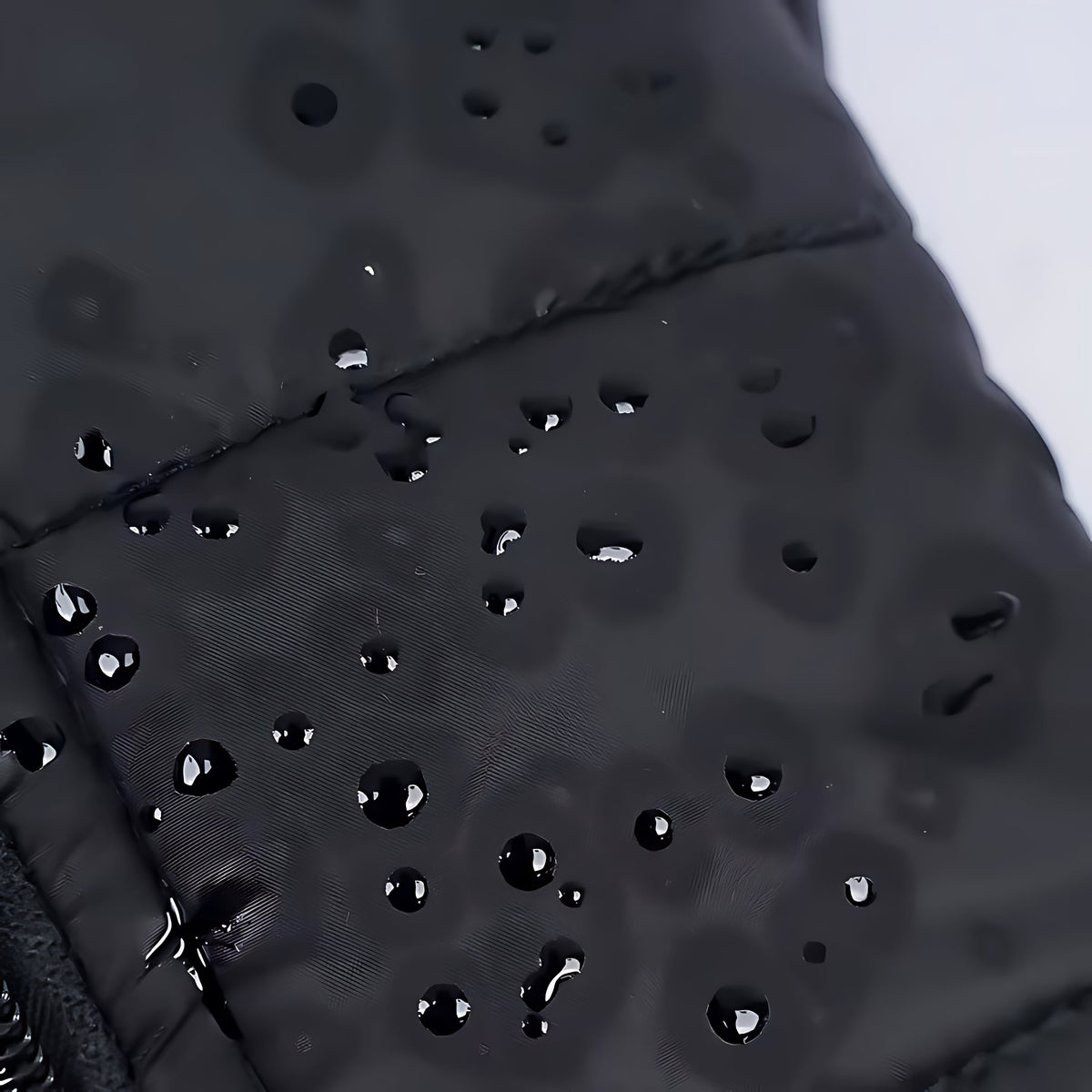 Waterproof Dog Winter Jacket – Warm Padded Coat with Zipper