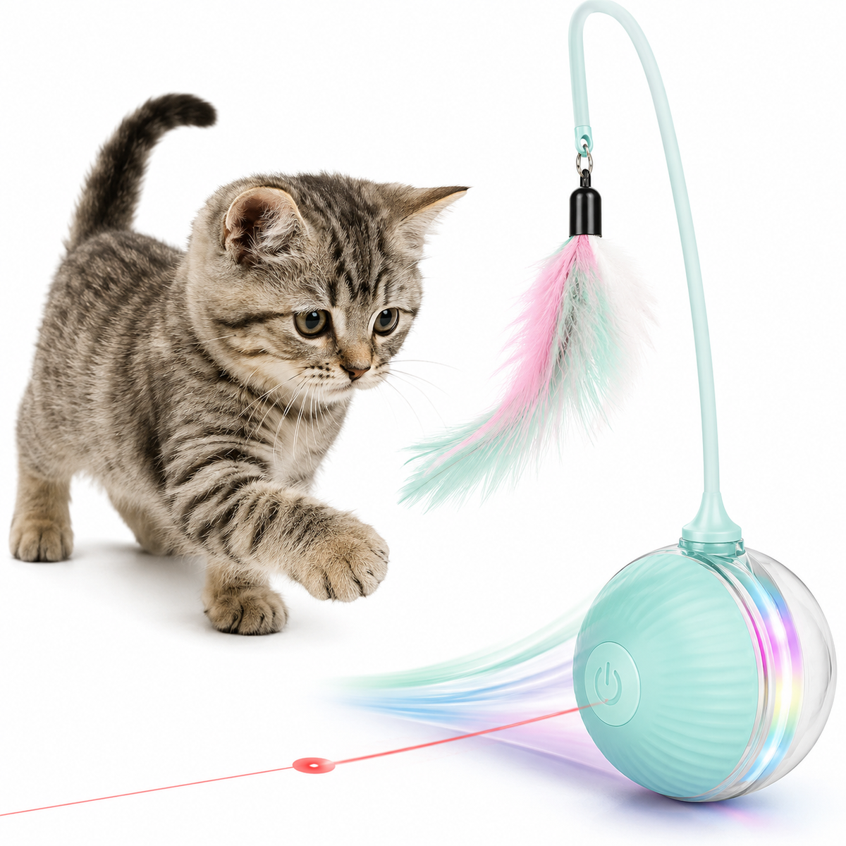 Pet Toys