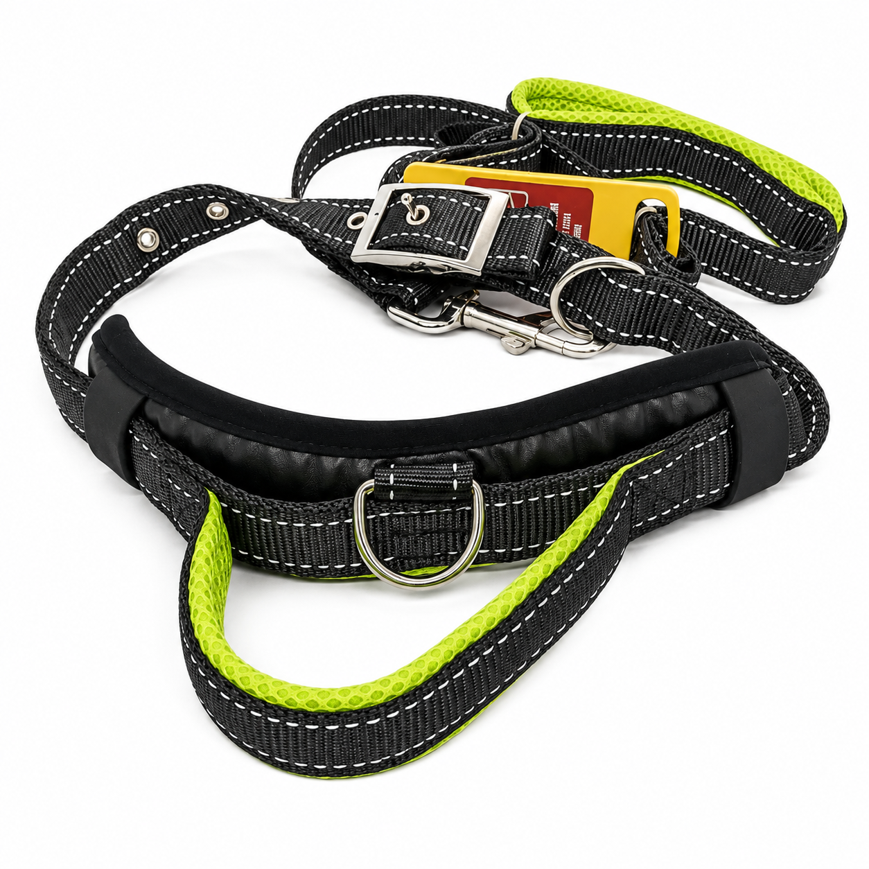 Collar And Harness