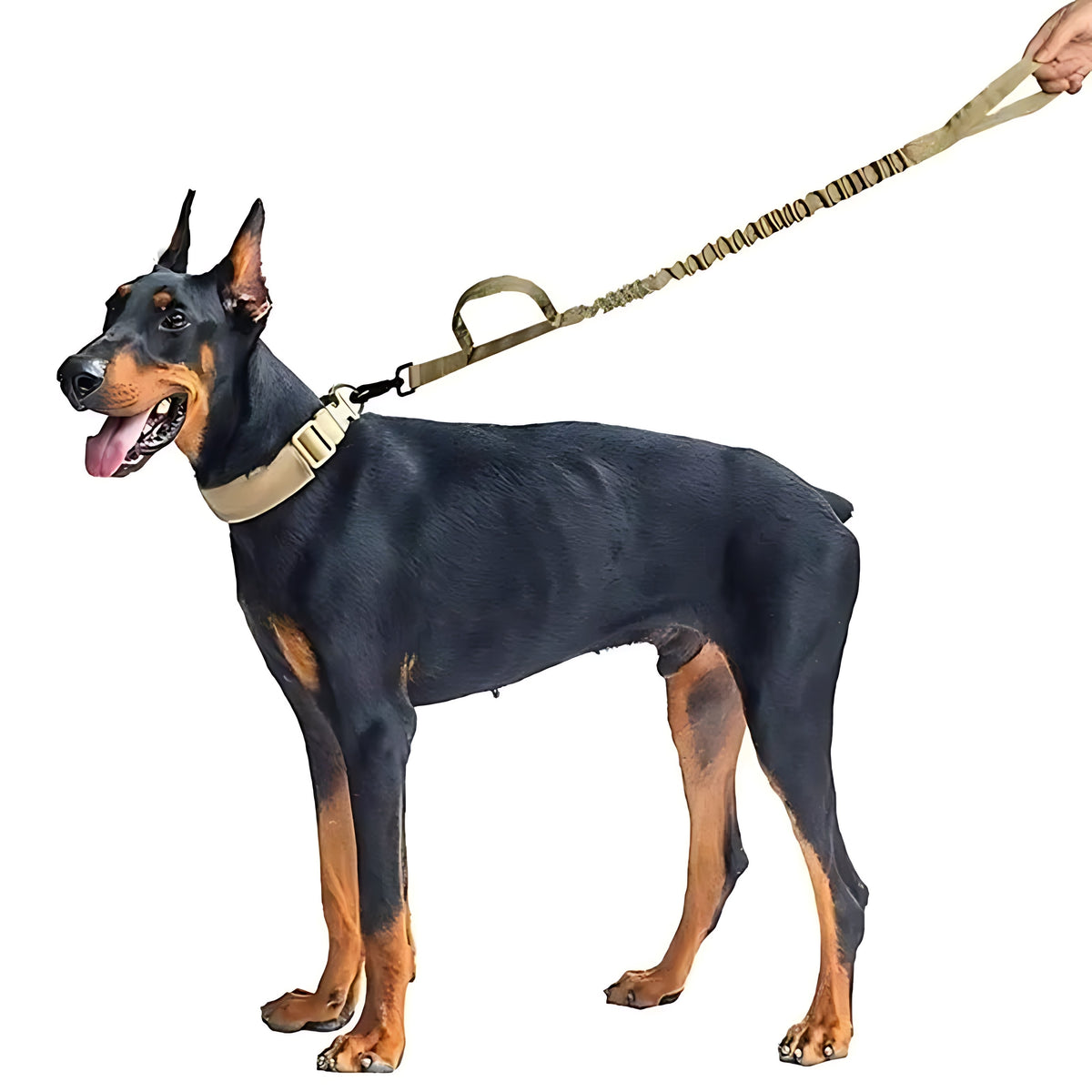 Tactical Military Dog Collar & Leash Set – Heavy Duty Adjustable Nylon Lead with Shock Absorption