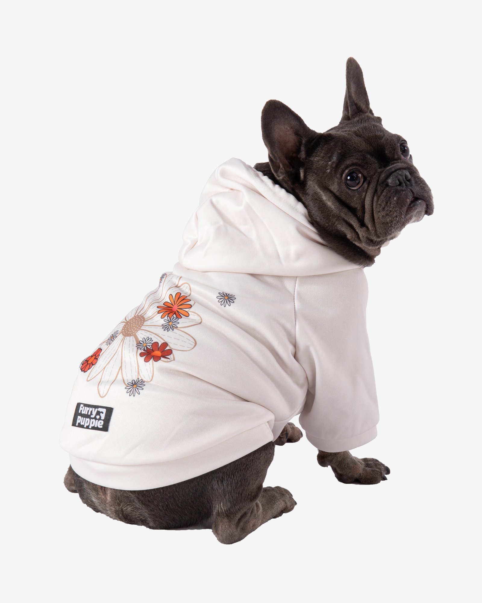 20250917144925_2962_6.jpg Frenchie Flower Power Hoodie - Image 1