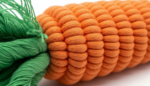 Premium Cotton Rope Knot Dog Toy – Strong Chew & Dental Cleaning Toy  Option 4 (SEO-Friendly): - Image 3
