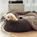 Calming Dog Bed & Weighted Blanket Bundle - Image 10