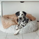 Double Weighted Luxury Blanket - Image 2