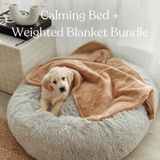 CalmingBed_WeightedBlanketBundle_540x_3d124070-18d2-4531-867a-c96d367888f8.jpg Calming Dog Bed & Weighted Blanket Bundle - Image 1