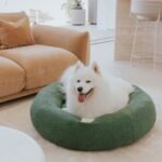 Luxury Boucle Dog Bed - Image 14