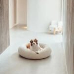Luxury Boucle Dog Bed - Image 2