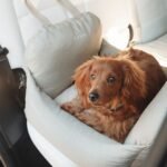 Premium Dog Car Bed - Image 7