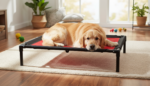 Premium Elevated Dog Bed – Cooling Breathable Mesh, Indoor & Outdoor - Image 5