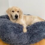 Calming Deep Sleep Pet Bed - Image 5
