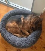 Calming Deep Sleep Pet Bed - Image 6