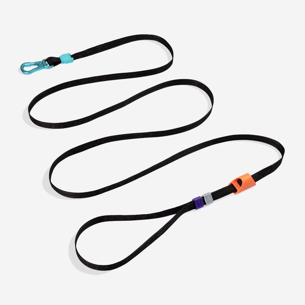 Segundo-longleash-main-1.jpg Segundo | Long Leash 2.0 - Image 1