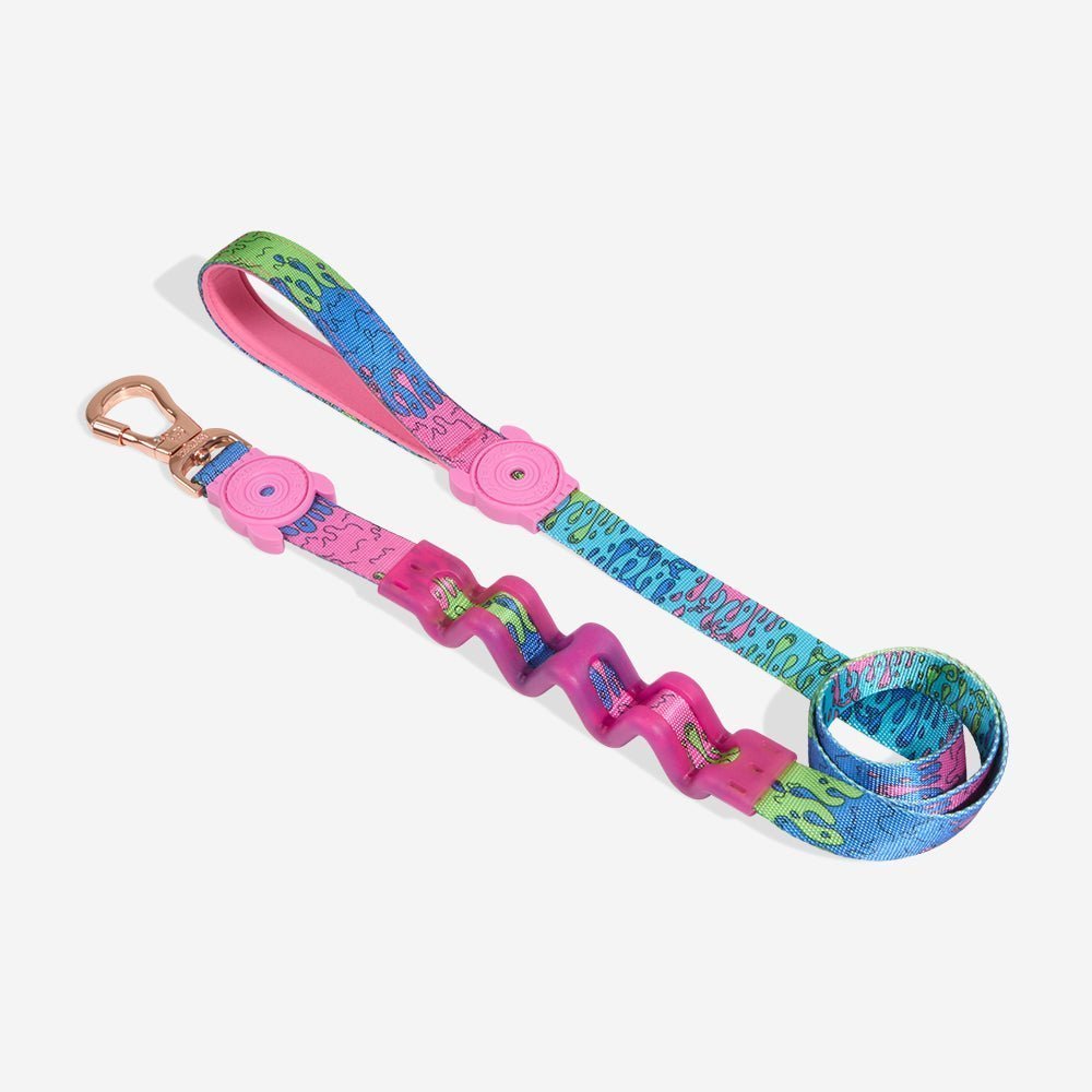 melted-ruff-leash-main-3.jpg Melted | Ruff Leash 2.0 - Image 1