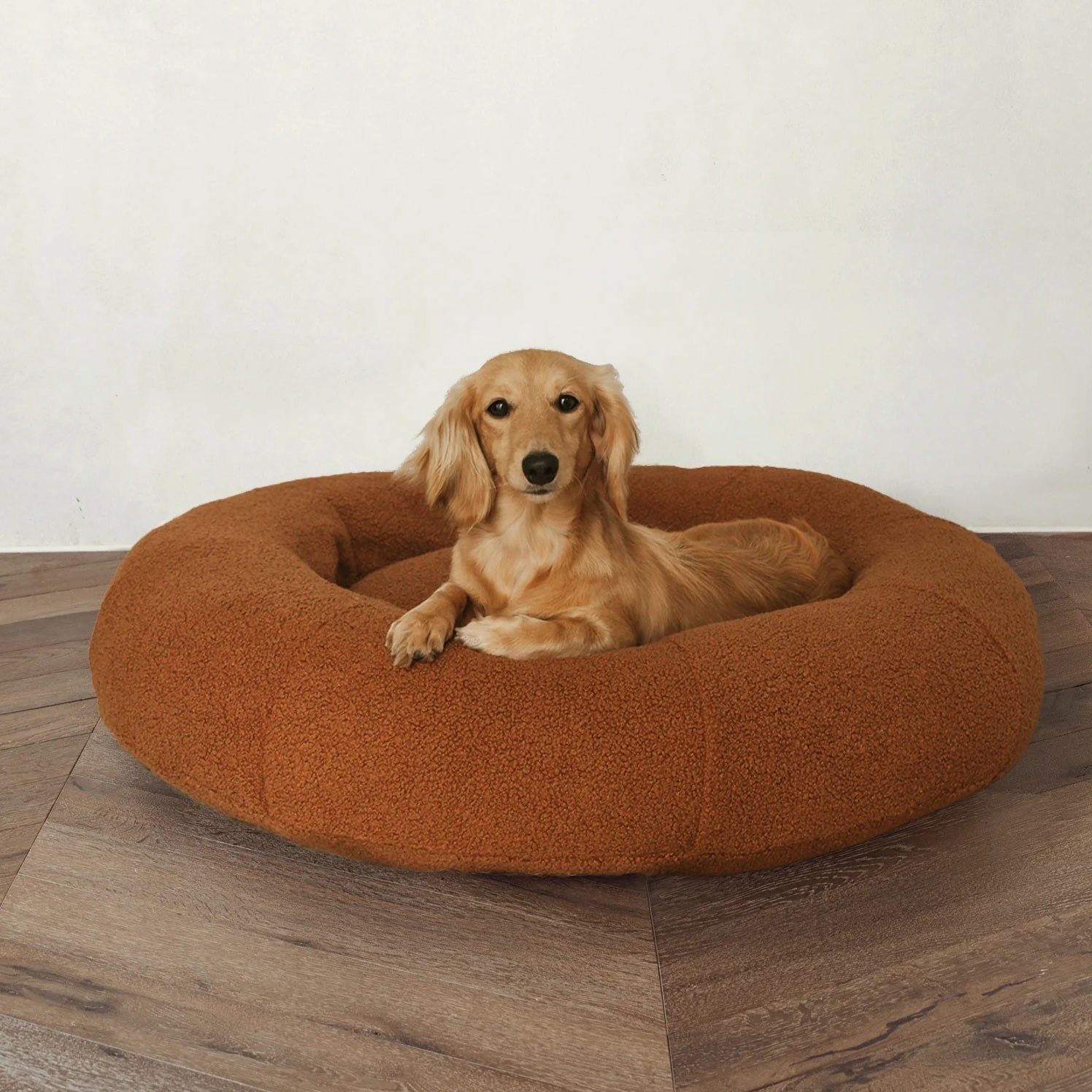 teddy-bed_copy1.jpg Premium Teddy Bed - Image 1