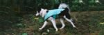 Mint | Winter Coat - Image 6