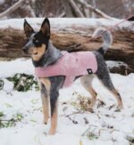 Pink | Coat - Image 6