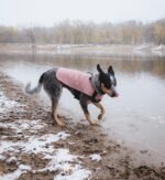 Pink | Coat - Image 10