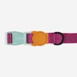 NOX Sidus | Collar - Image 2