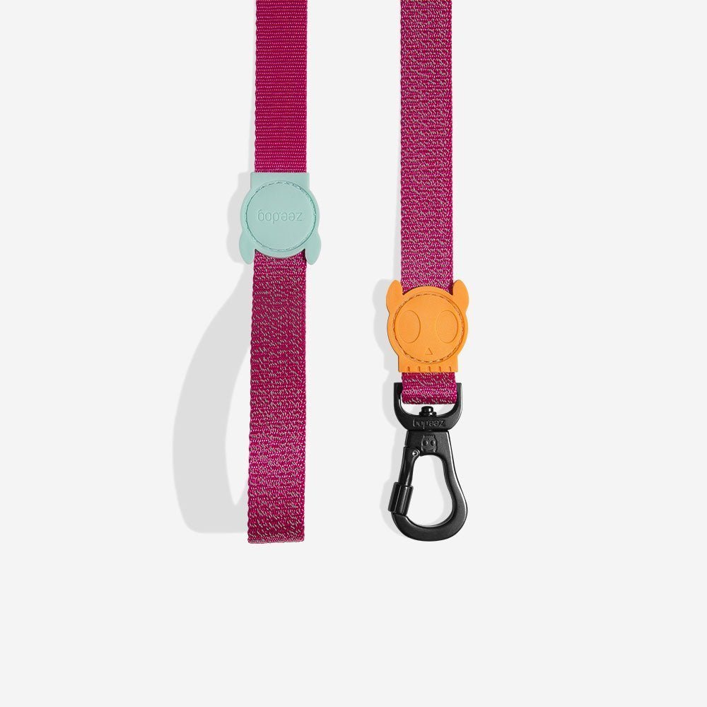 zeedog-dog-leash-nox-sidus_main-1.jpg NOX Sidus | Leash - Image 1