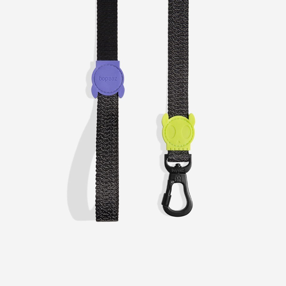 zeedog-dog-leash-nox_main-1.jpg NOX | Leash - Image 1