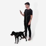 Titanium Grey | FlexiWalk Leash - Image 3