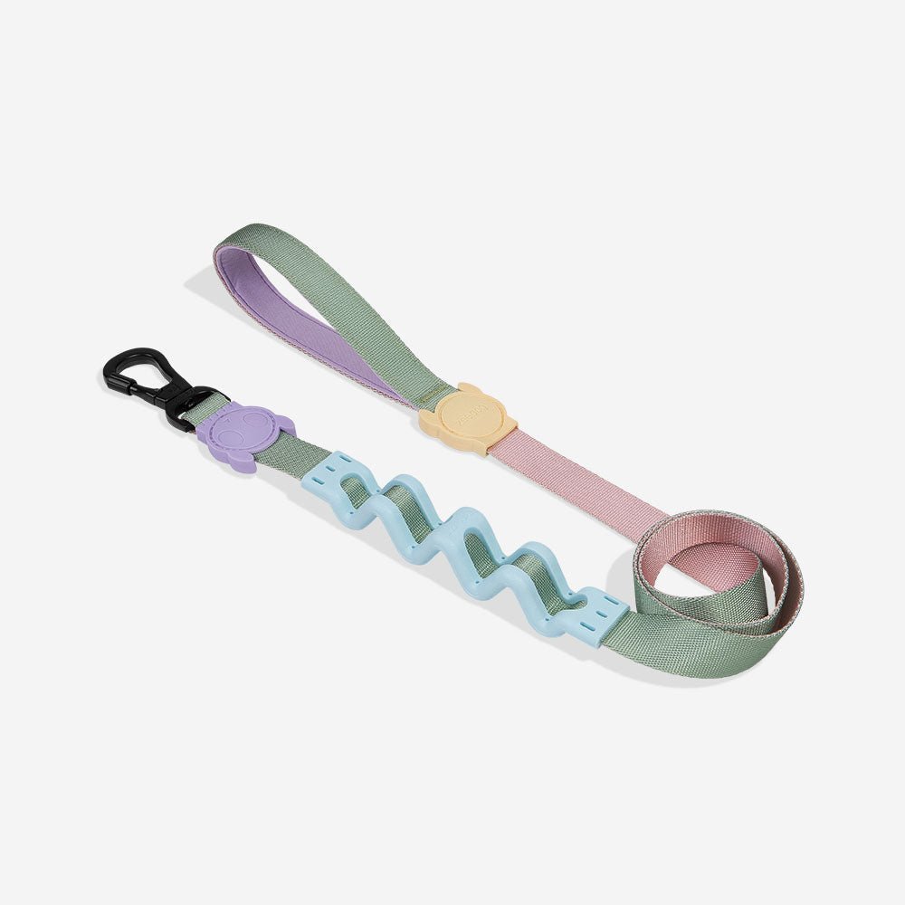 zeedog-ruff-leash-peach_main-1.jpg Peach | Ruff Leash 2.0 - Image 1