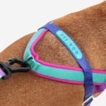 Shockwave | SofterWalk Harness - Image 2