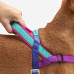 Shockwave | SofterWalk Harness - Image 4